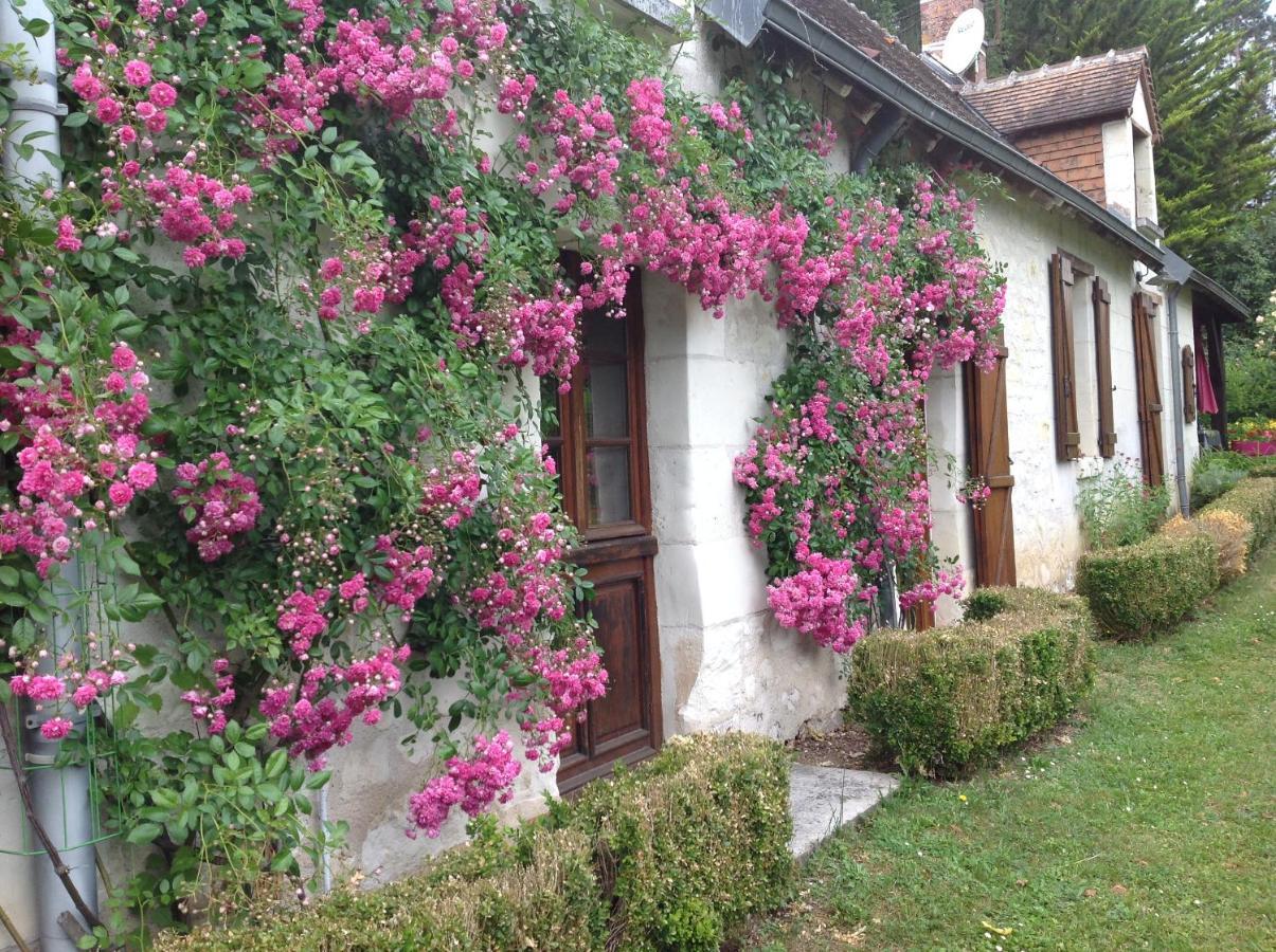 Gite O Beauval سانت إينيو المظهر الخارجي الصورة