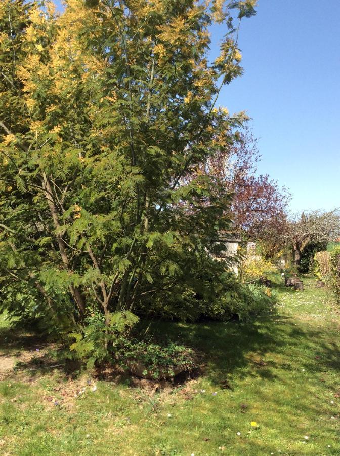 Gite O Beauval سانت إينيو المظهر الخارجي الصورة